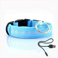 Obroża LED dla Psów - GlowCollar
