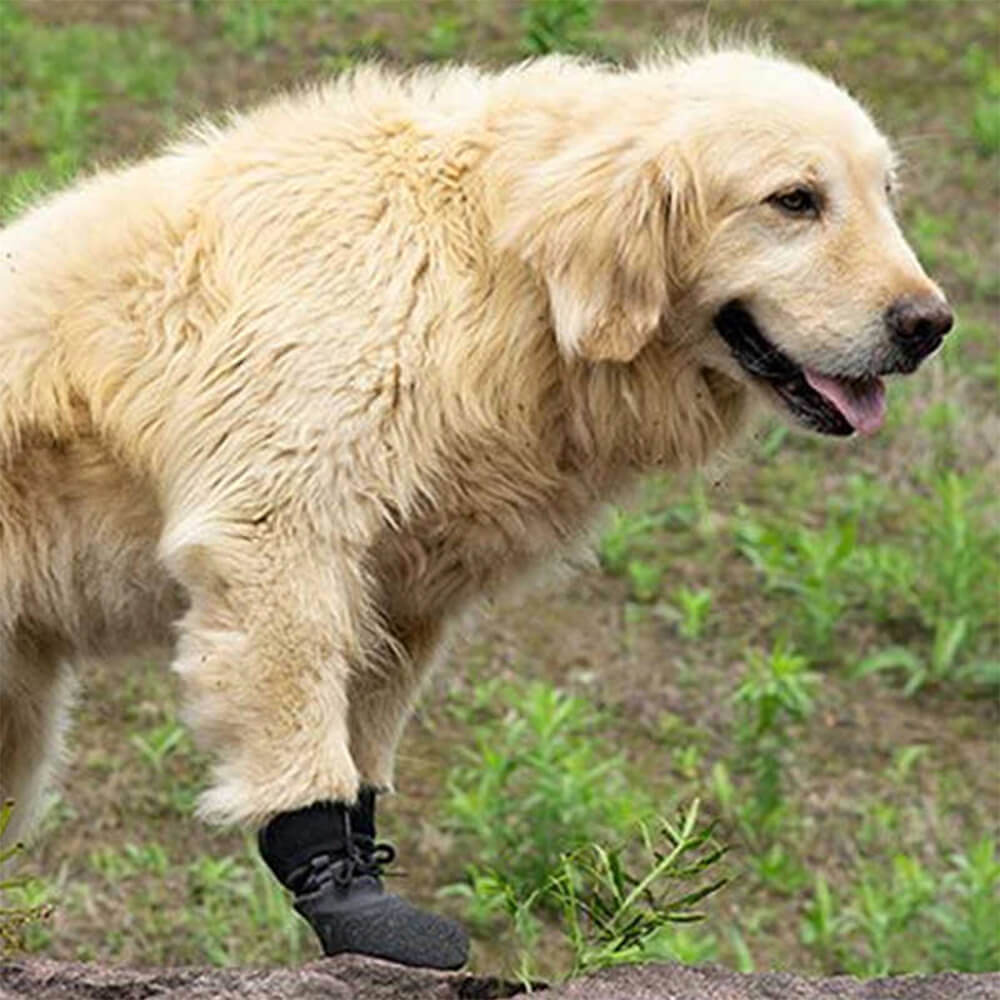 Wodoodporne, oddychające buty dla psów do biegania, wędrówek i na zewnątrz