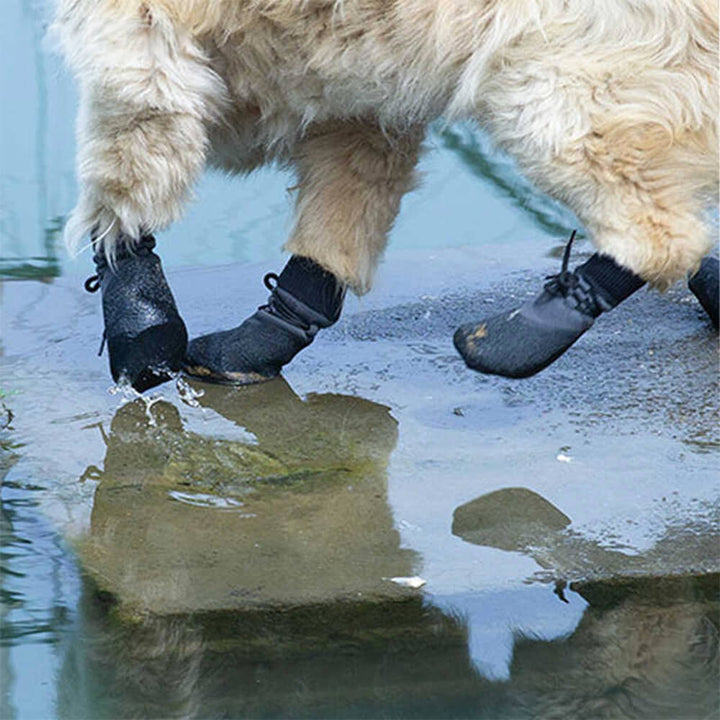 Wodoodporne, oddychające buty dla psów do biegania, wędrówek i na zewnątrz
