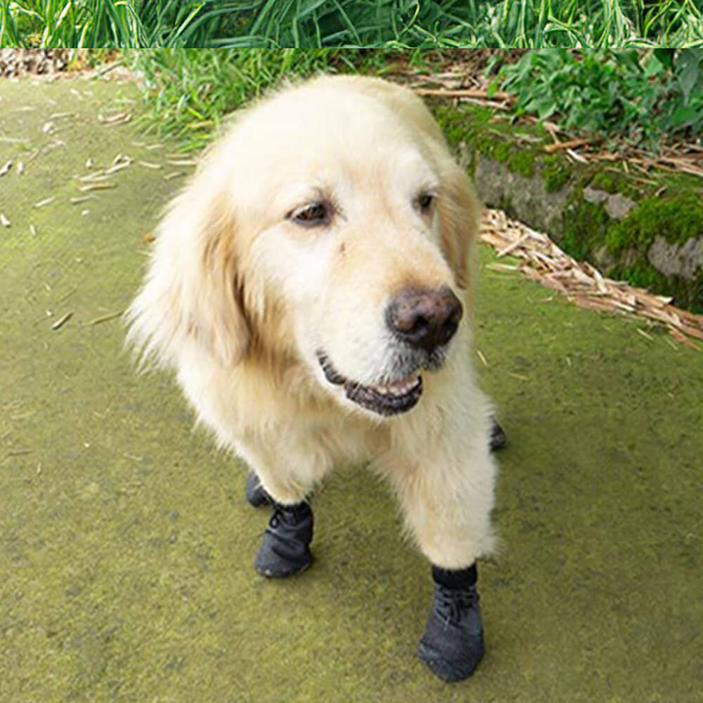 Wodoodporne, oddychające buty dla psów do biegania, wędrówek i na zewnątrz