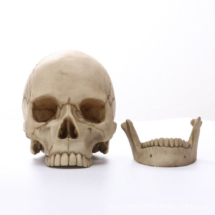 1:1 Ludzka Czaszka Statua do Dekoracji Wnętrz Figury Żywiczne Dekoracja Halloween Rzeźba Model do Nauki Medycznej