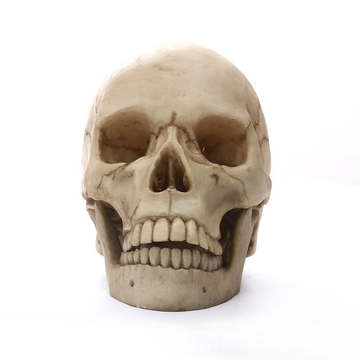 1:1 Ludzka Czaszka Statua do Dekoracji Wnętrz Figury Żywiczne Dekoracja Halloween Rzeźba Model do Nauki Medycznej