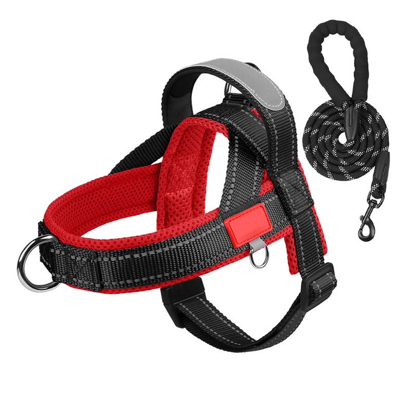 PawEase Comfort Harness — Relaksujące zakładanie i nieograniczona swoboda dla Twojego psa |
