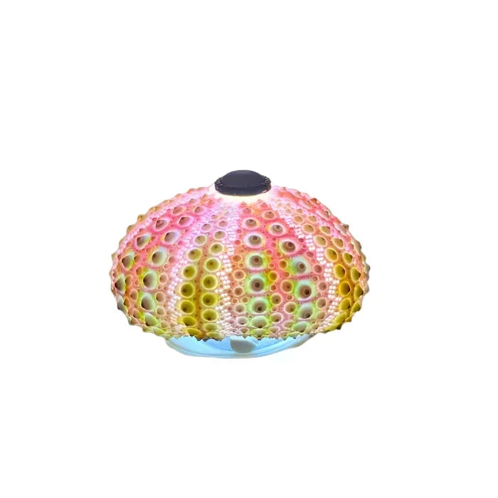 Lampka nocna jeżyk CoastalGlow DIY