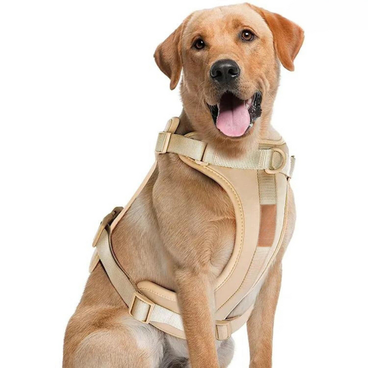 Zestaw Szelki dla Psa ComfyPaws z Linką i Uchwyt na Worki na Odchody