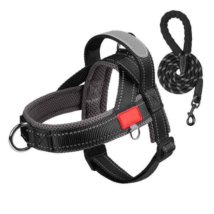 PawEase Comfort Harness — Relaksujące zakładanie i nieograniczona swoboda dla Twojego psa |