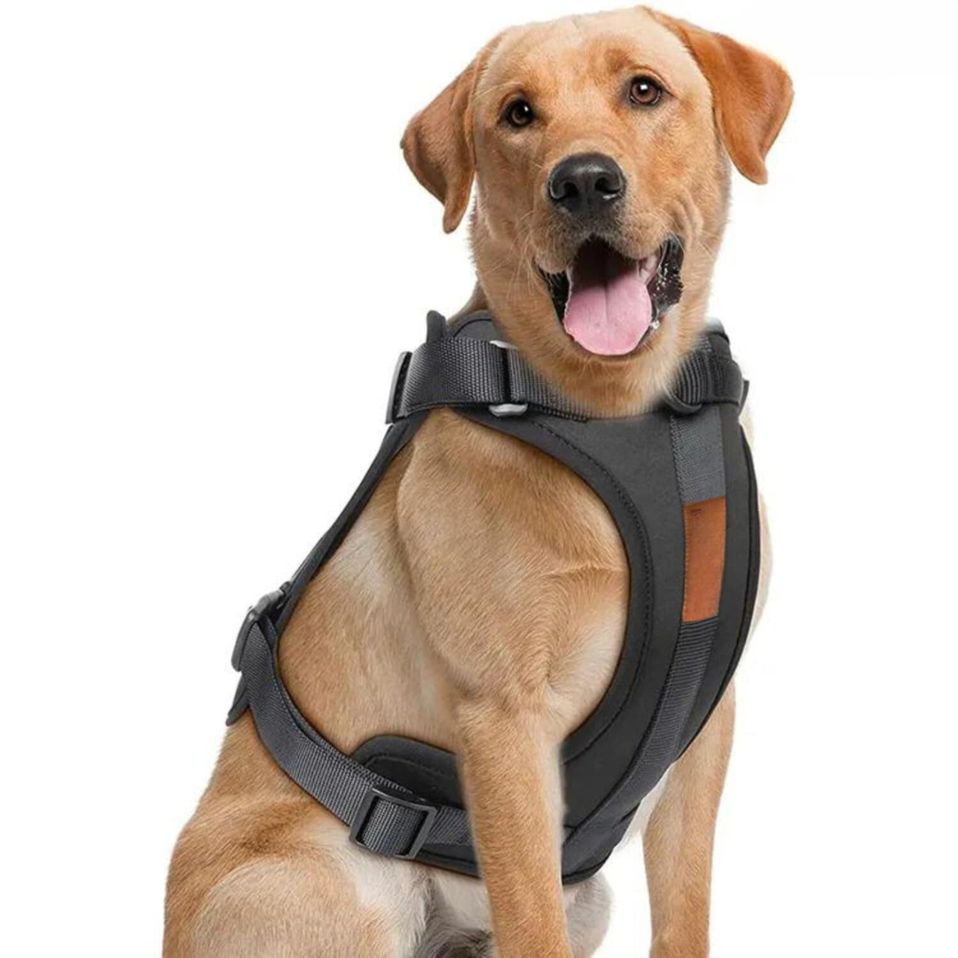Zestaw Szelki dla Psa ComfyPaws z Linką i Uchwyt na Worki na Odchody
