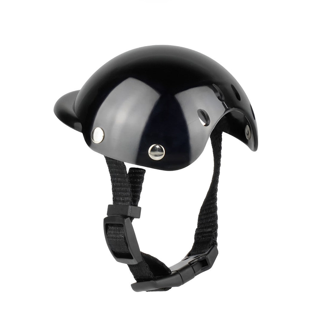 Kask i gogle motocyklowe dla psów – Modne i bezpieczne