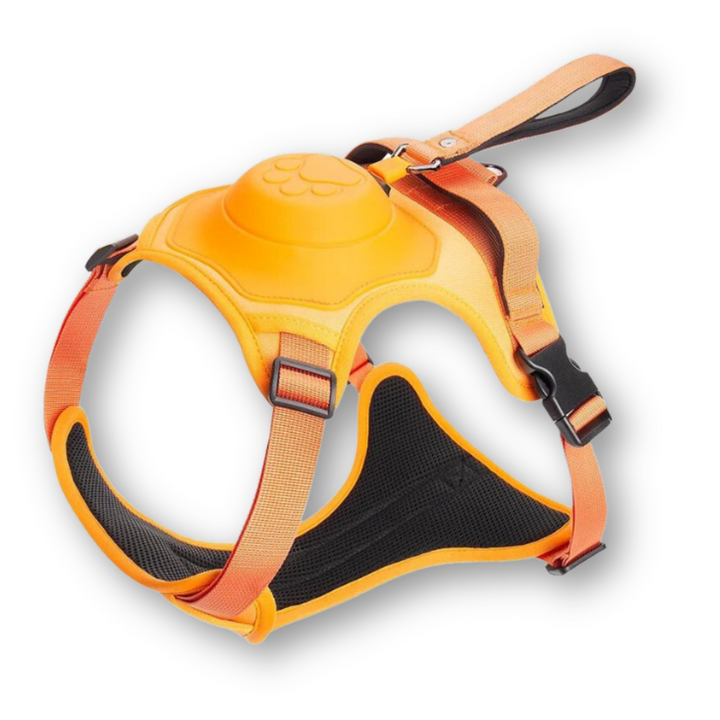 FlexiHarness – Wygodna uprząż dla psa 2-w-1 z linką