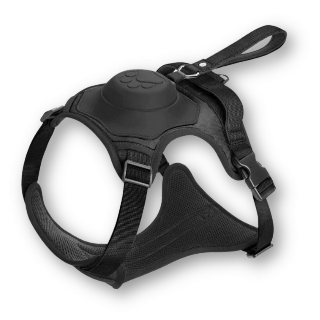 FlexiHarness – Wygodna uprząż dla psa 2-w-1 z linką