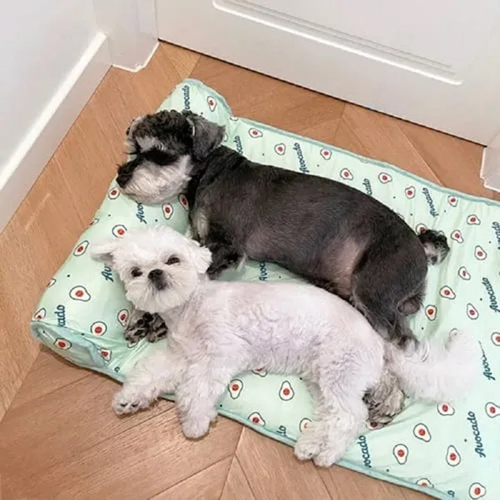 Mata chłodząca z jedwabiu lodowego dla psów i kotów🐶 |