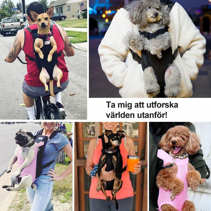 Plecak dla zwierząt na przodzie