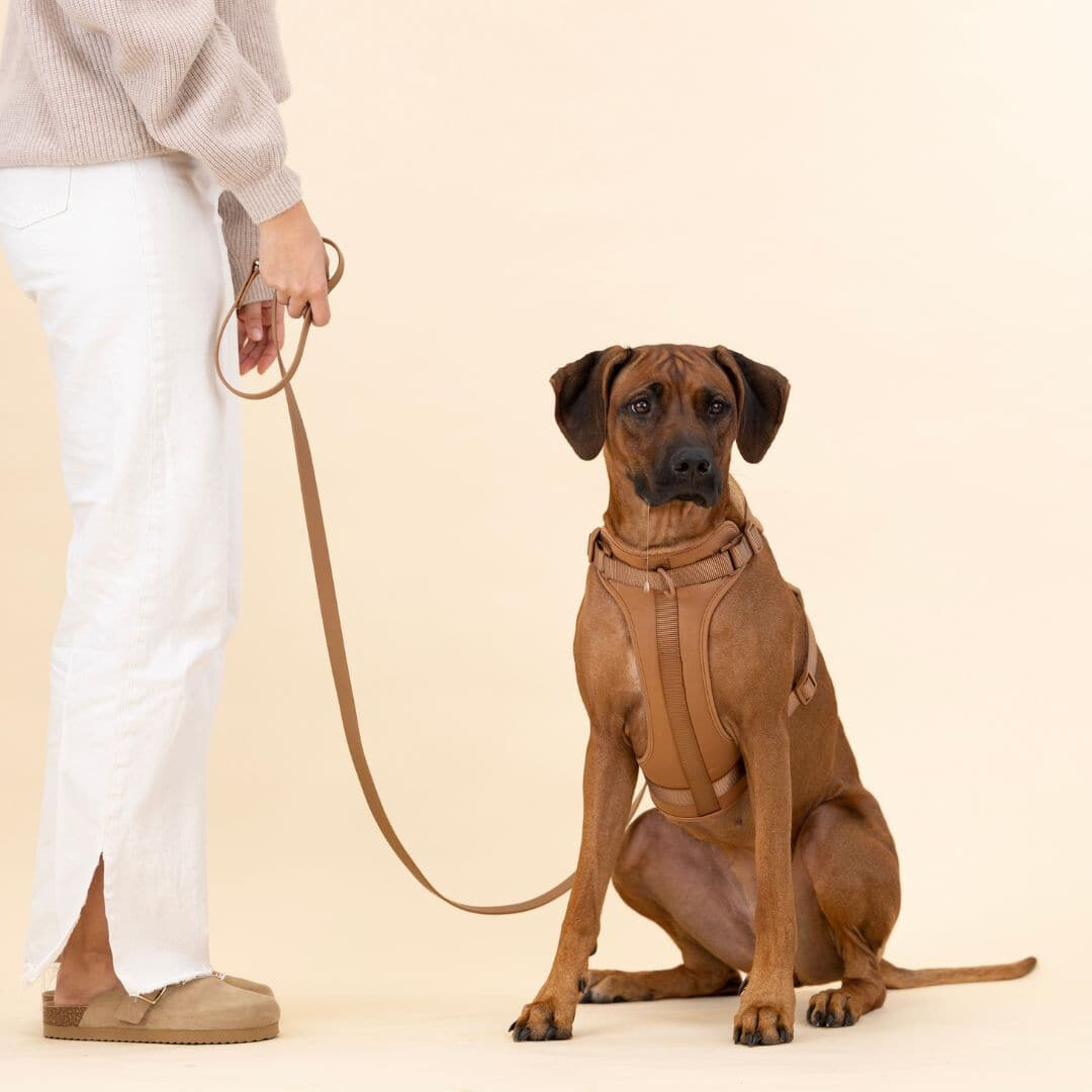 Zestaw Szelki dla Psa ComfyPaws z Linką i Uchwyt na Worki na Odchody