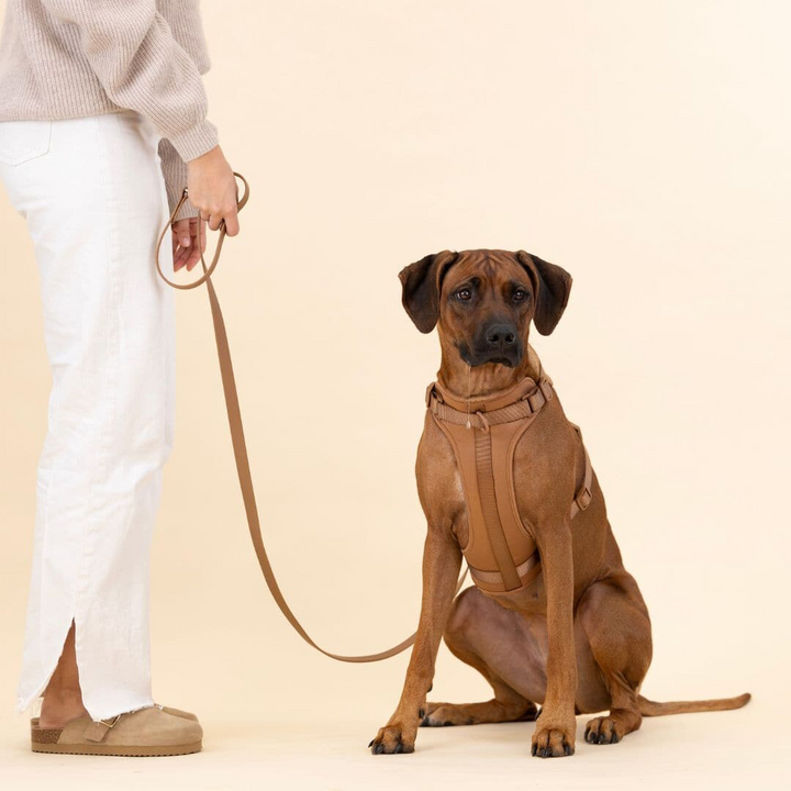 Zestaw Szelki dla Psa ComfyPaws z Linką i Uchwyt na Worki na Odchody