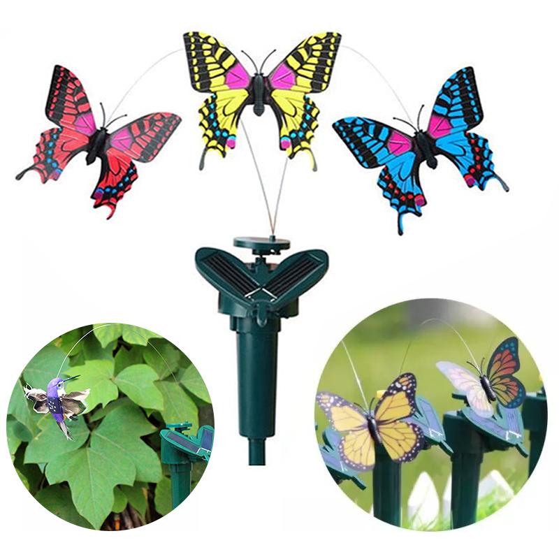 Słoneczny tańczący koliber i motyl