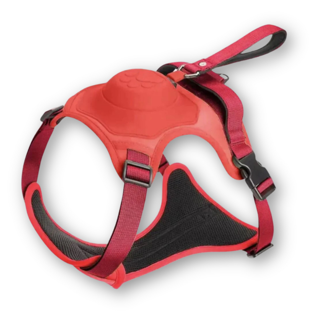 FlexiHarness – Wygodna uprząż dla psa 2-w-1 z linką