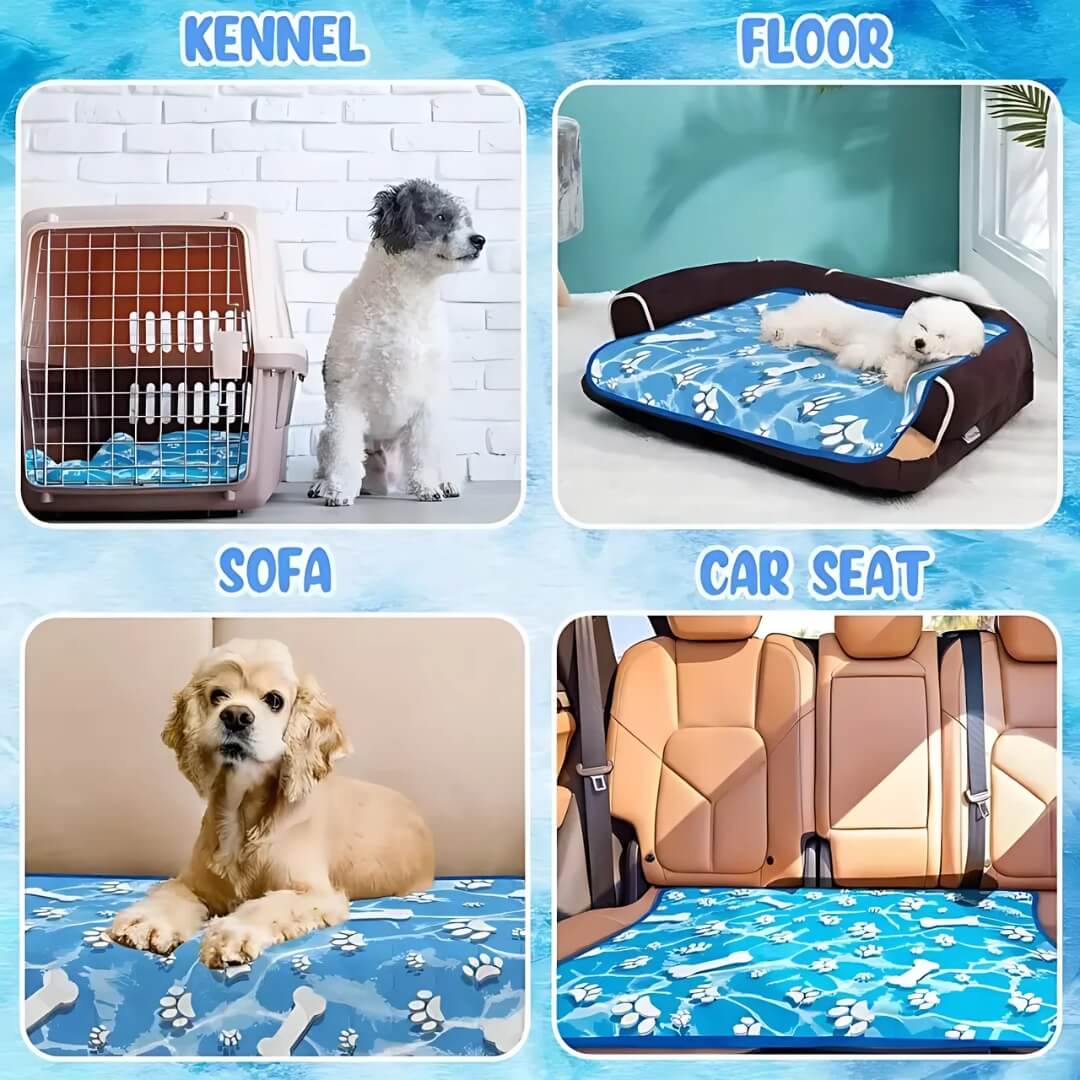 ChillPaws • Mata chłodząca dla psów