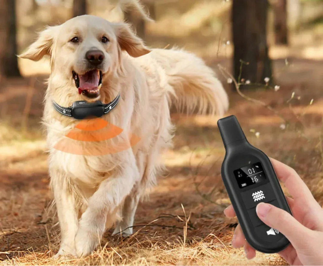 Dog Coach Pro – Elektroniczny obroża treningowa dla psów – Wodoodporna obroża z pilotem