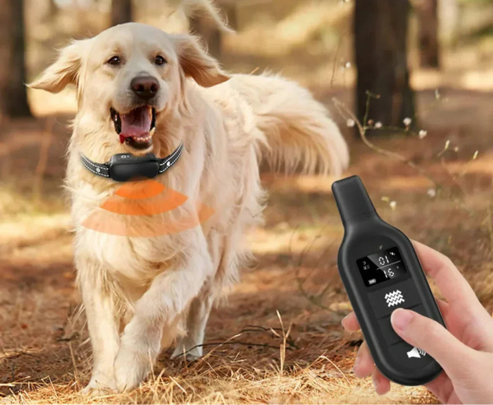 Dog Coach Pro – Elektroniczny obroża treningowa dla psów – Wodoodporna obroża z pilotem