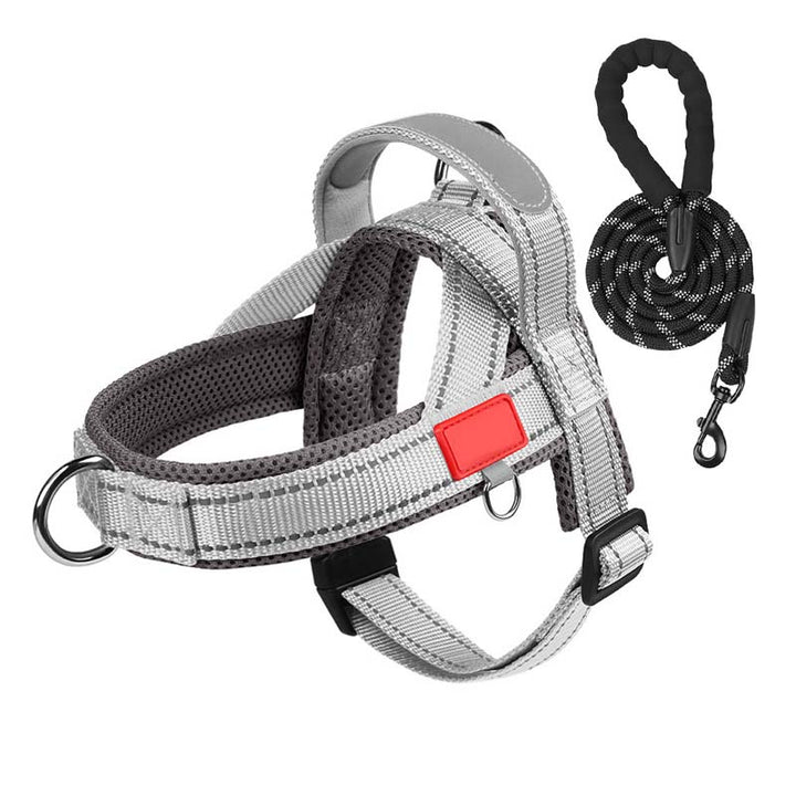 PawEase Comfort Harness — Relaksujące zakładanie i nieograniczona swoboda dla Twojego psa |