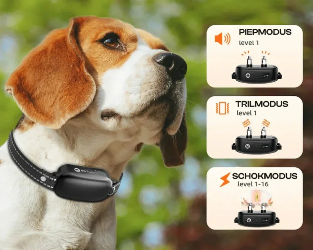 Dog Coach Pro – Elektroniczny obroża treningowa dla psów – Wodoodporna obroża z pilotem