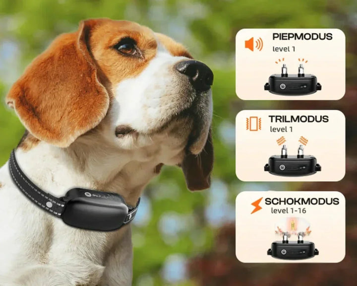 Dog Coach Pro – Elektroniczny obroża treningowa dla psów – Wodoodporna obroża z pilotem