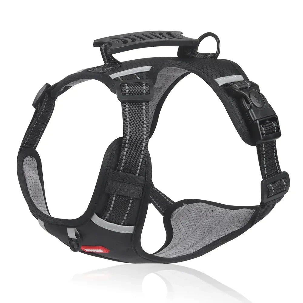 Szelki dla psa NoPull – WalkEase