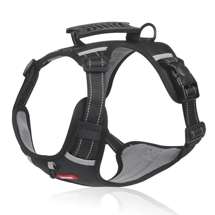 Szelki dla psa NoPull – WalkEase