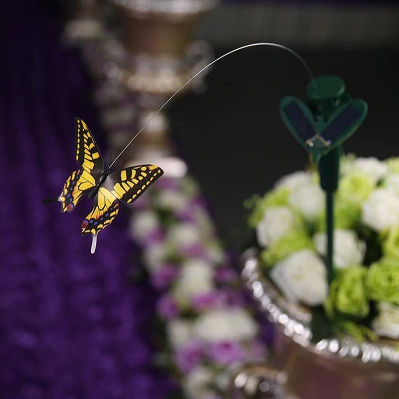 Słoneczny tańczący koliber i motyl
