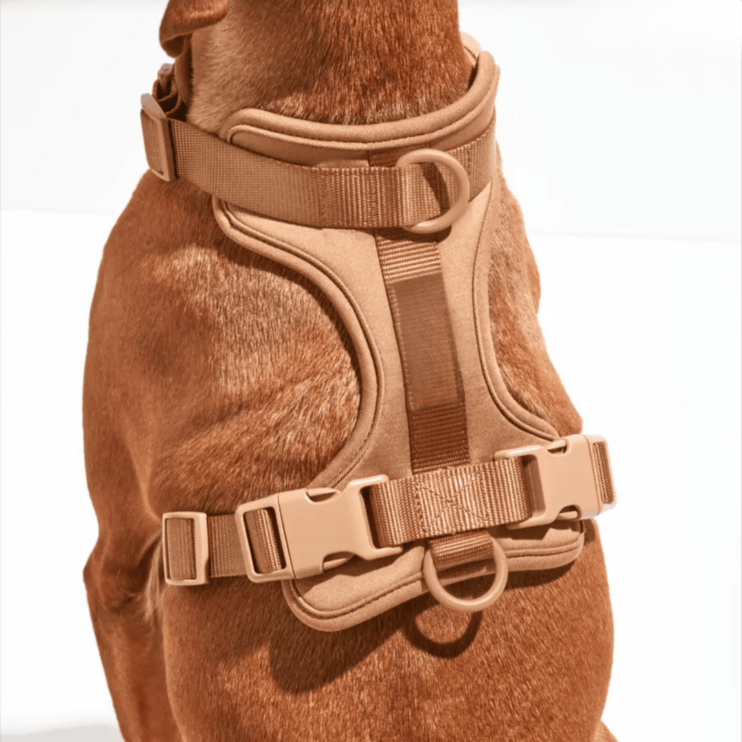 Zestaw Szelki dla Psa ComfyPaws z Linką i Uchwyt na Worki na Odchody