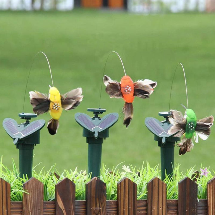 Słoneczny tańczący koliber i motyl