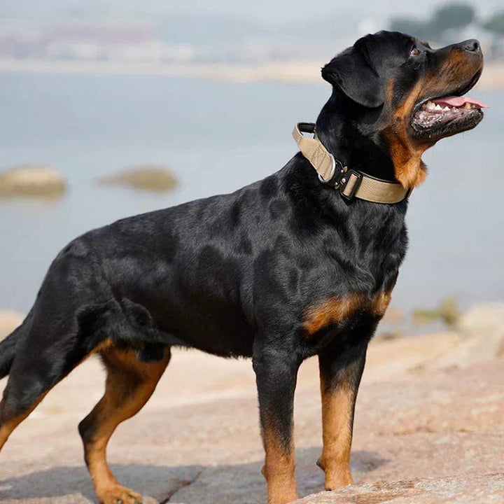 Taktyczna obroża dla psa z uchwytem – GripMaster