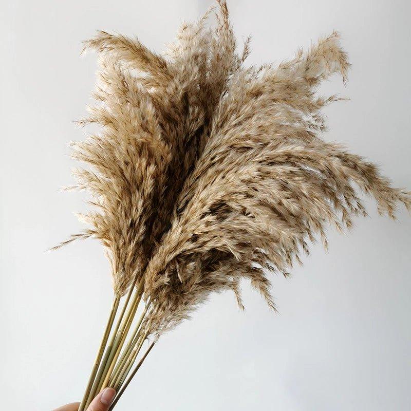 60 cm naturalny, prawdziwy, brązowo-beżowy bukiet suszonej trawy pampasowej │ puszyste pióra do nowoczesnej boho dekoracji wnętrz