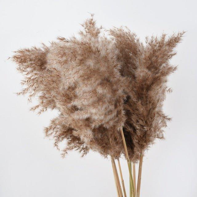 60 cm naturalny, prawdziwy, brązowo-beżowy bukiet suszonej trawy pampasowej │ puszyste pióra do nowoczesnej boho dekoracji wnętrz