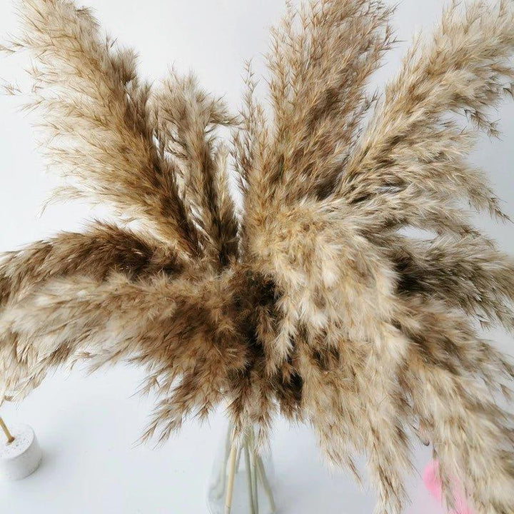 60 cm naturalny, prawdziwy, brązowo-beżowy bukiet suszonej trawy pampasowej │ puszyste pióra do nowoczesnej boho dekoracji wnętrz