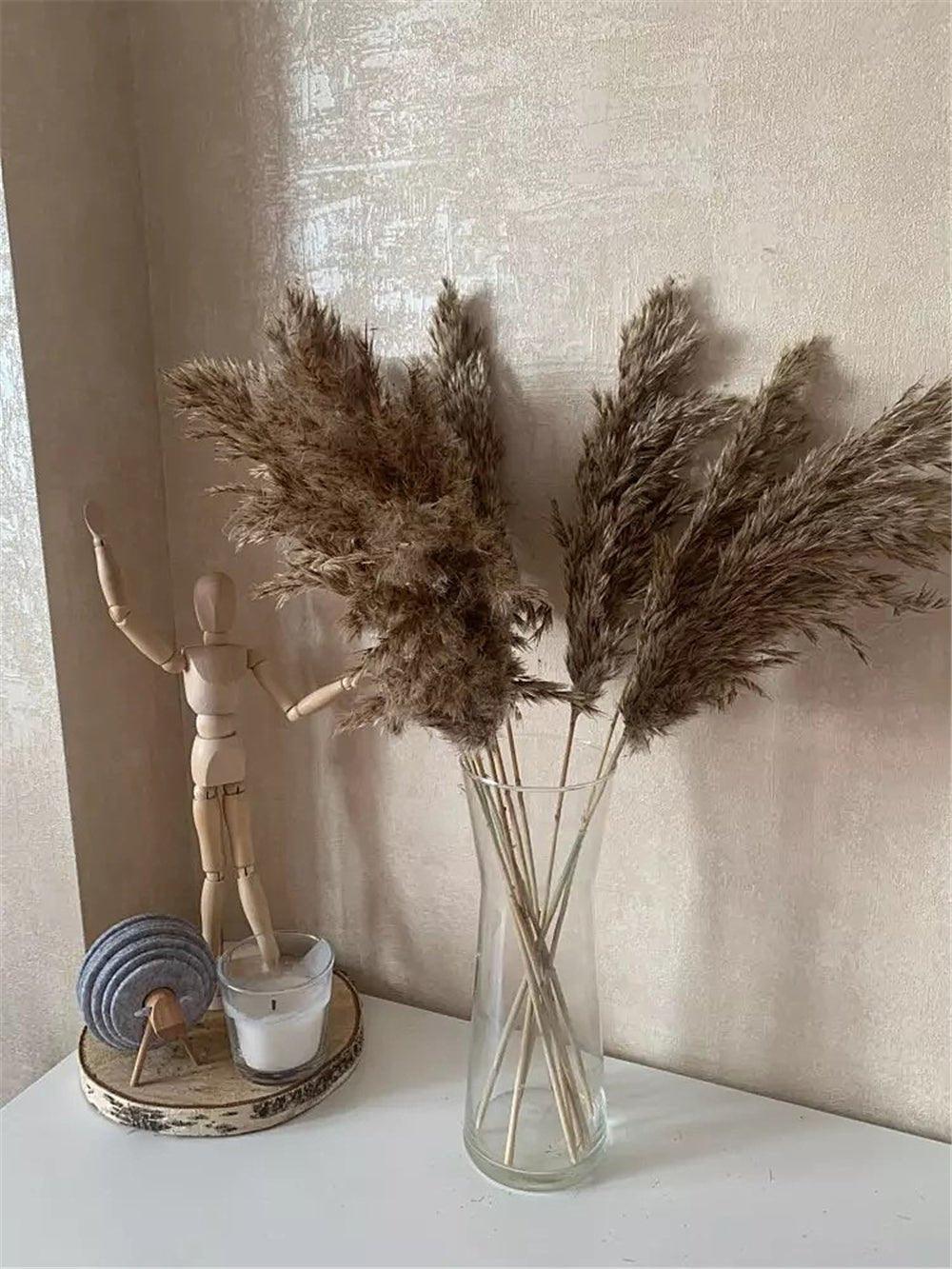 60 cm naturalny, prawdziwy, brązowo-beżowy bukiet suszonej trawy pampasowej │ puszyste pióra do nowoczesnej boho dekoracji wnętrz