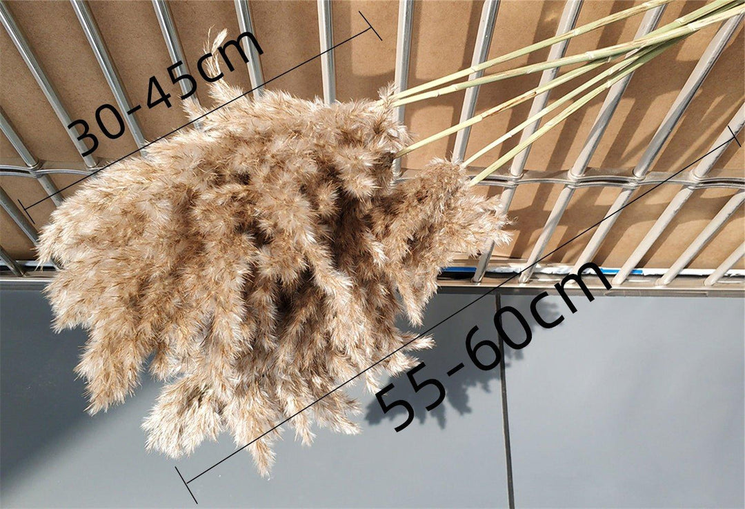 60 cm naturalny, prawdziwy, brązowo-beżowy bukiet suszonej trawy pampasowej │ puszyste pióra do nowoczesnej boho dekoracji wnętrz