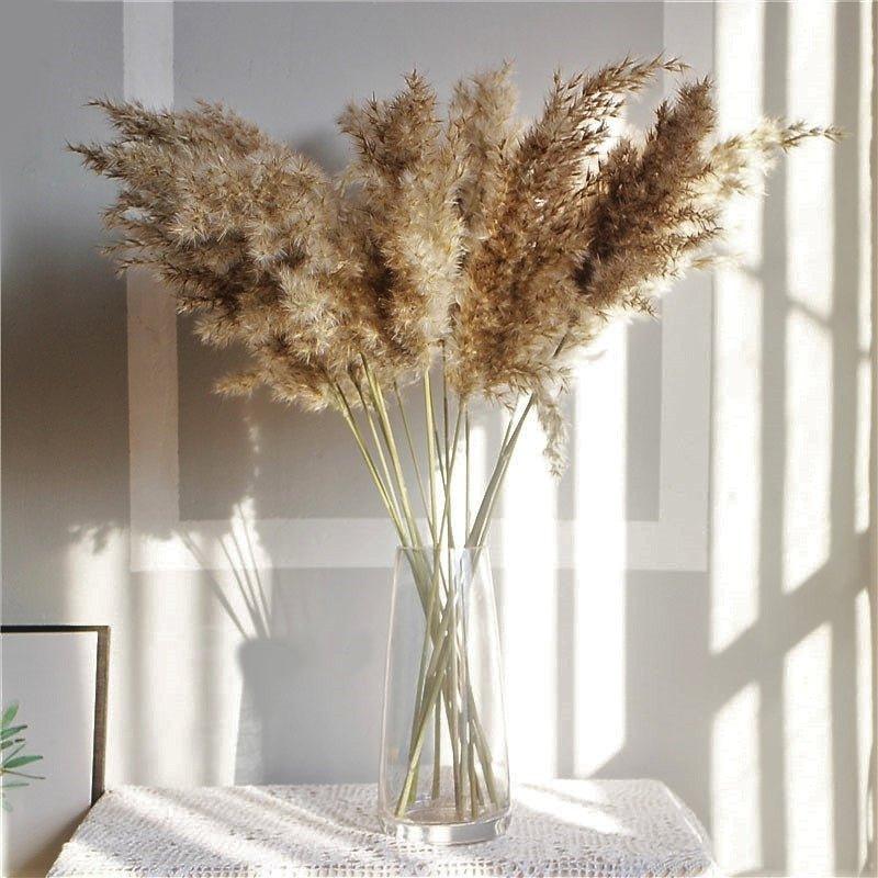 60 cm naturalny, prawdziwy, brązowo-beżowy bukiet suszonej trawy pampasowej │ puszyste pióra do nowoczesnej boho dekoracji wnętrz