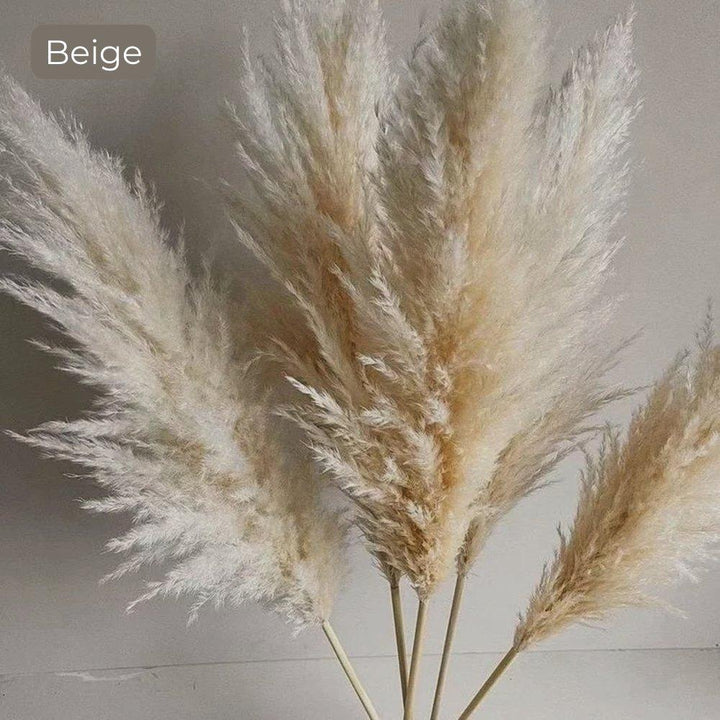 Bukiet naturalnych, suszonych traw pampasowych o długości 80 cm (biały / beżowy / szary) │ puszyste pióra do nowoczesnego boho wystroju wnętrz