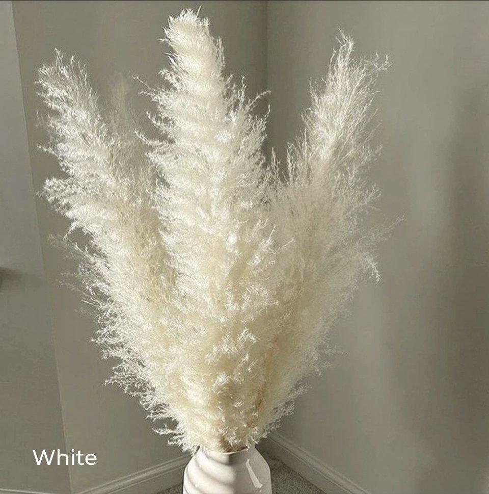 Bukiet naturalnych, suszonych traw pampasowych o długości 80 cm (biały / beżowy / szary) │ puszyste pióra do nowoczesnego boho wystroju wnętrz