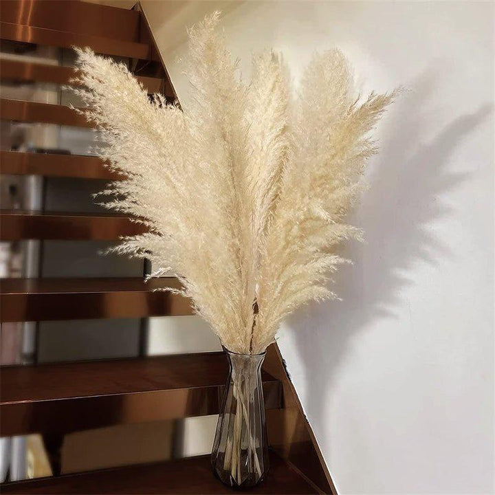 Bukiet naturalnych, suszonych traw pampasowych o długości 80 cm (biały / beżowy / szary) │ puszyste pióra do nowoczesnego boho wystroju wnętrz