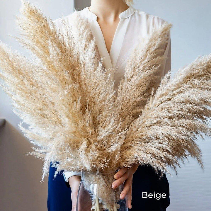 Bukiet naturalnych, suszonych traw pampasowych o długości 80 cm (biały / beżowy / szary) │ puszyste pióra do nowoczesnego boho wystroju wnętrz