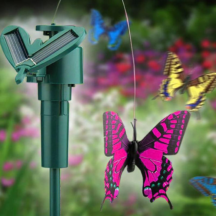 Słoneczny tańczący koliber i motyl