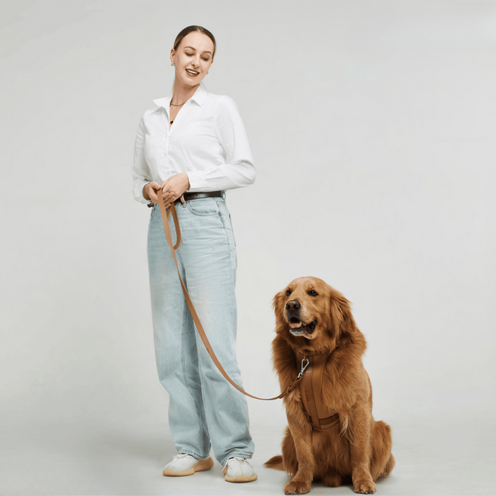 Zestaw Szelki dla Psa ComfyPaws z Linką i Uchwyt na Worki na Odchody