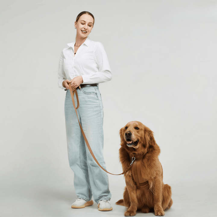 Zestaw Szelki dla Psa ComfyPaws z Linką i Uchwyt na Worki na Odchody