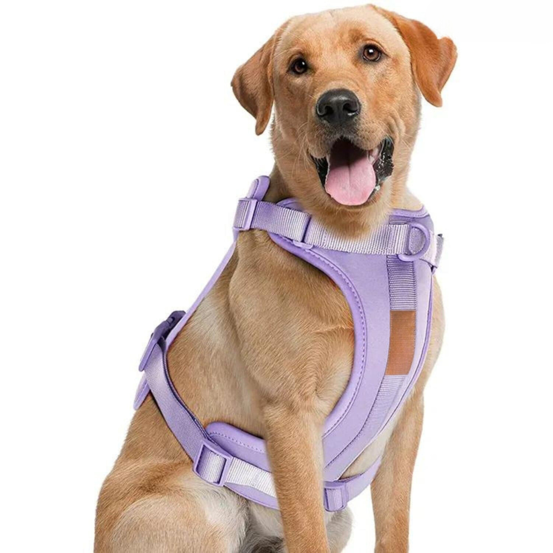 Zestaw Szelki dla Psa ComfyPaws z Linką i Uchwyt na Worki na Odchody