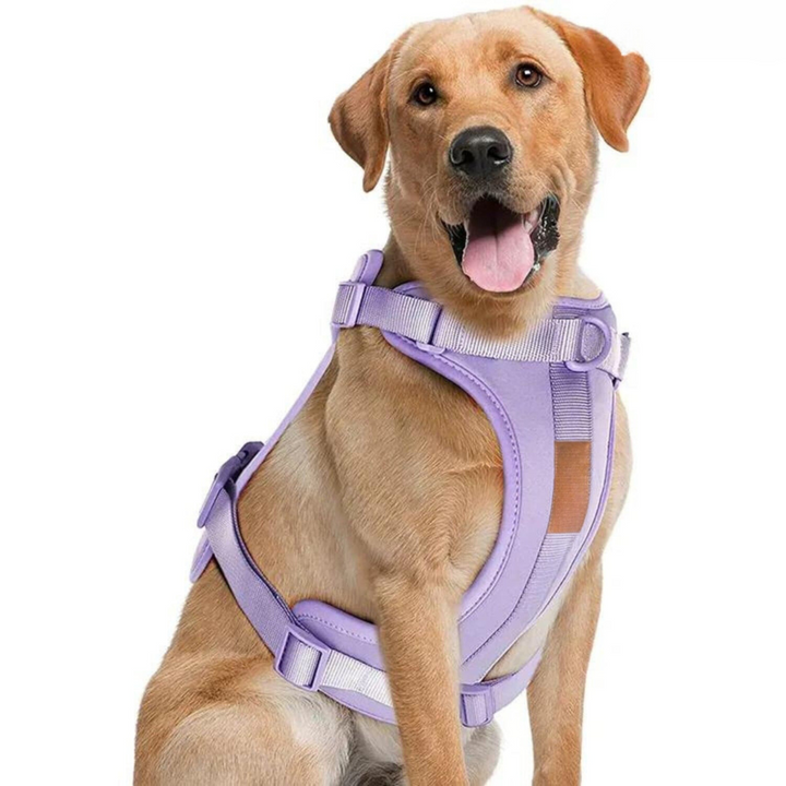 Zestaw Szelki dla Psa ComfyPaws z Linką i Uchwyt na Worki na Odchody