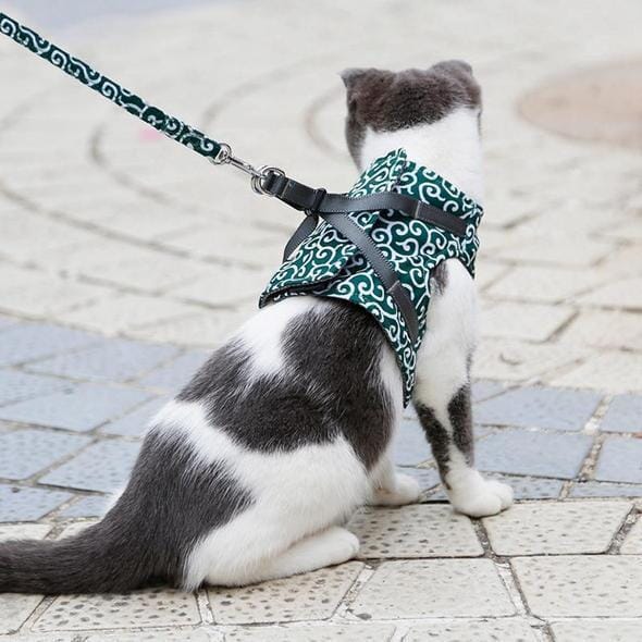 Zestaw uprzęży i smyczy dla kota na spacery