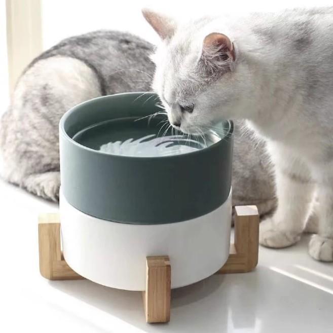Ceramiczne Miski Karmowe