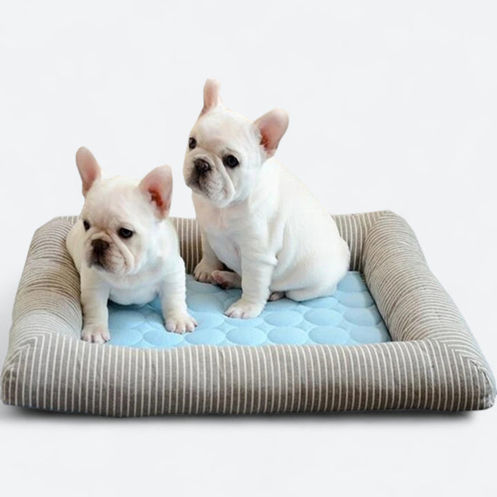 FurChill Frenchie Oddychająca Legowisko dla Psa – Mata Chłodząca z Antypoślizgową Podstawą na Gorące Dni |